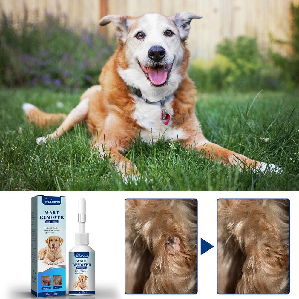 Pets Dog Wart Remover Natural  - đánh giá và giá Skincare Animate