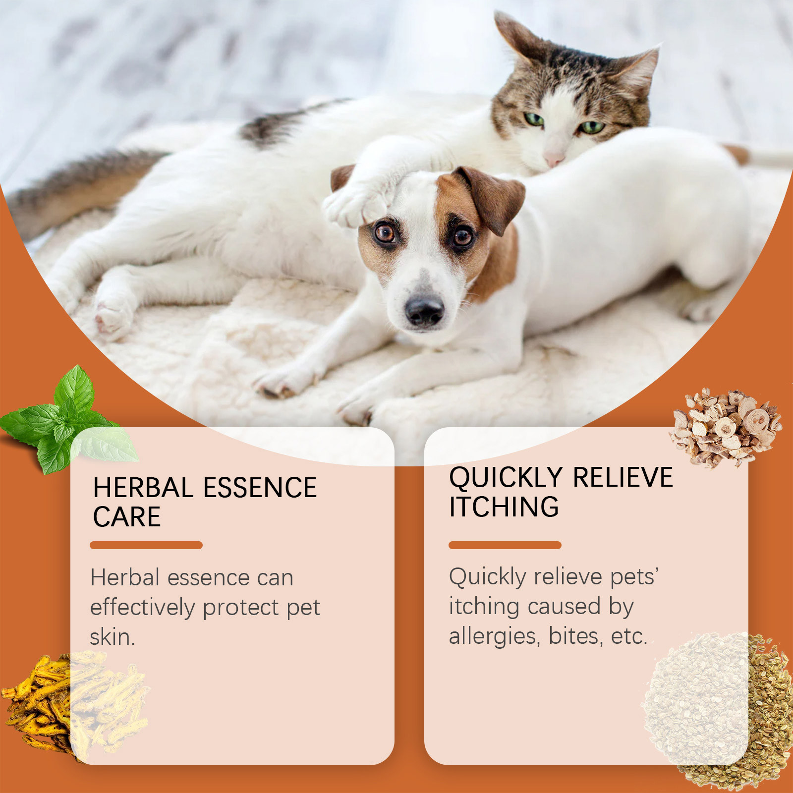 New Pet Antiitch Antiallergic  - đánh giá và giá Skincare Animate