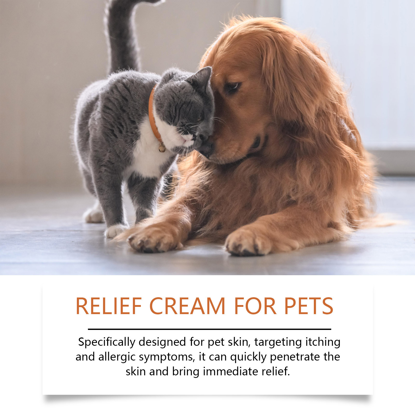 New Pet Antiitch Antiallergic  - đánh giá và giá Skincare Animate